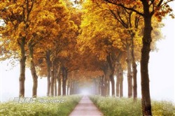jquery api,jquery下载,jquery ajax,jquery jrs看球网直播吧_低调看直播体育app软件下载_低调看体育直播,jquery手册,jquery 选择器,jquery ui,jquery mobile,jquery each
